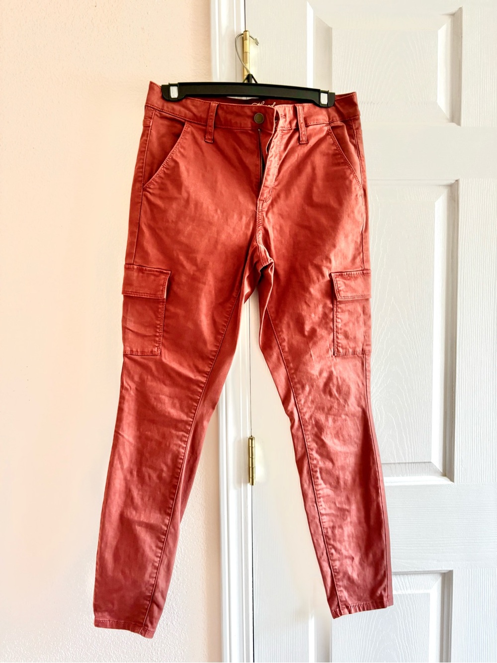 Universal Thread Rust Cargo Pants S